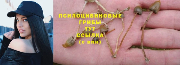 MESCALINE Арсеньев