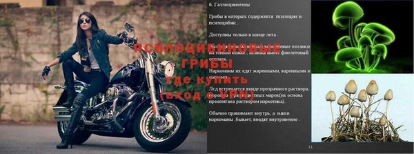 MESCALINE Арсеньев