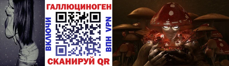 МЕГА как войти  Нефтегорск  Псилоцибиновые грибы Psilocybine cubensis  цена  